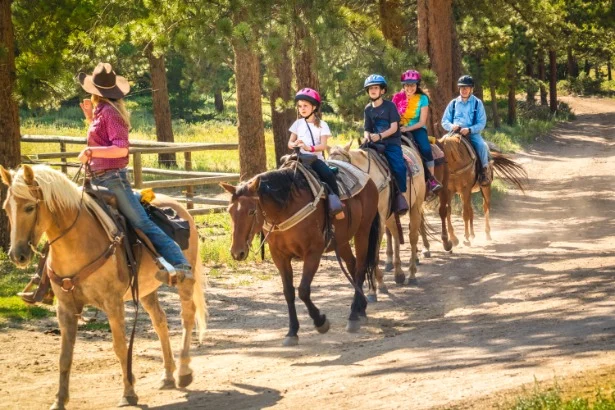 Groep kinderen met helmen rijdt op paarden achter een gids over een zandpad tussen hoge dennenbomen