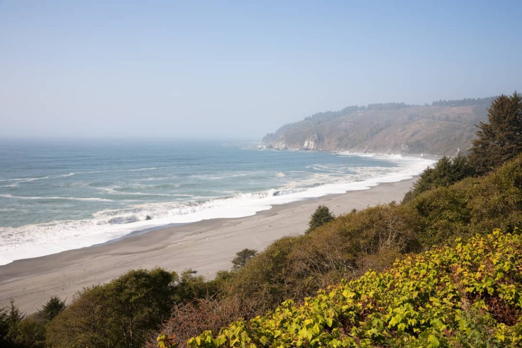 Uitzicht vanaf een begroeide klif over een lang zandstrand met golven en een beboste heuvelrug langs de kust van Californië