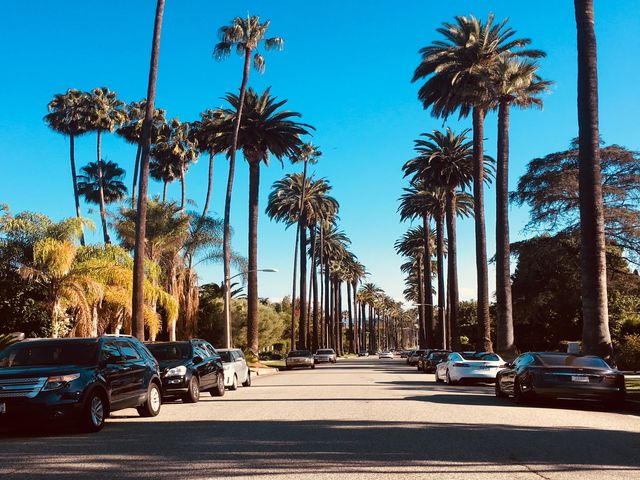 Brede straat in Californië geflankeerd door rijen hoge palmbomen met geparkeerde auto's onder een strakblauwe hemel