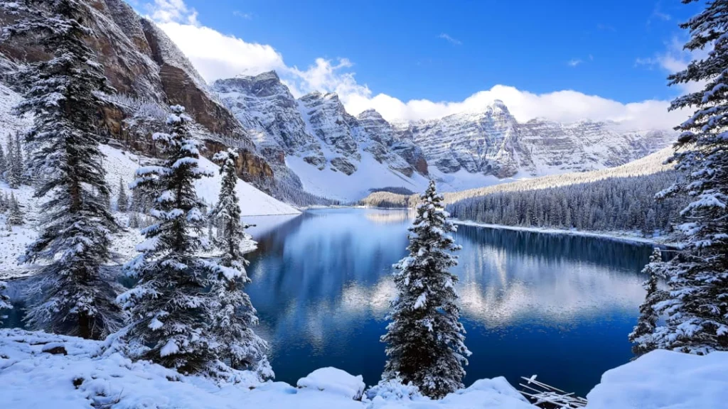 Turkoois water van Moraine Lake in Canada omringd door besneeuwde dennenbomen en bergtoppen onder een blauwe lucht