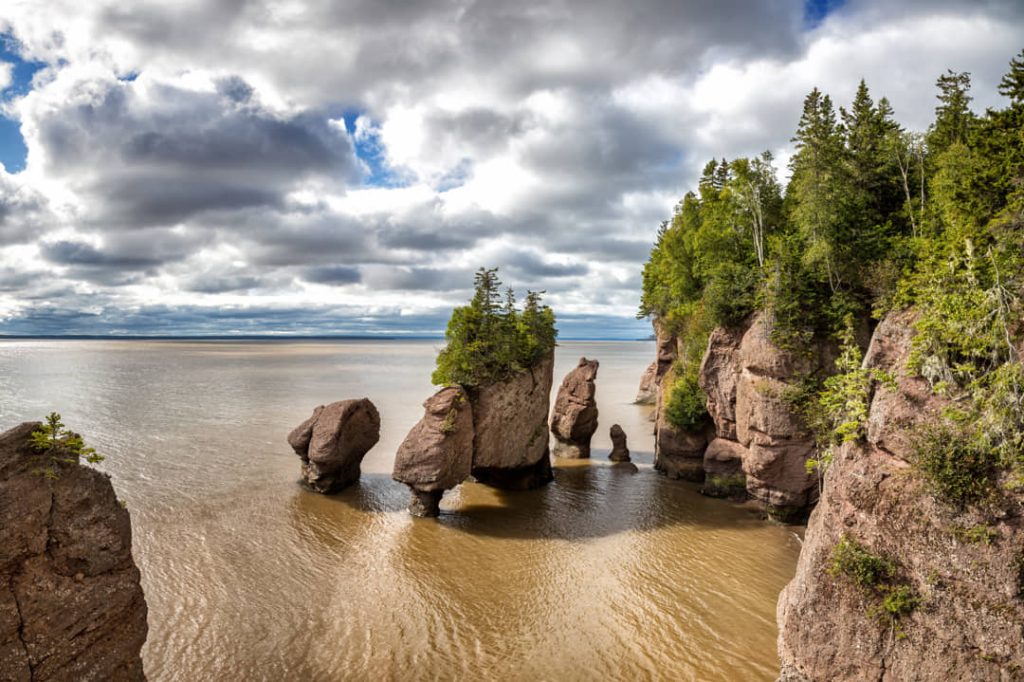 Beboste rotszuilen steken op bij hoogwater in de Bay of Fundy in Atlantisch Canada onder een bewolkte lucht
