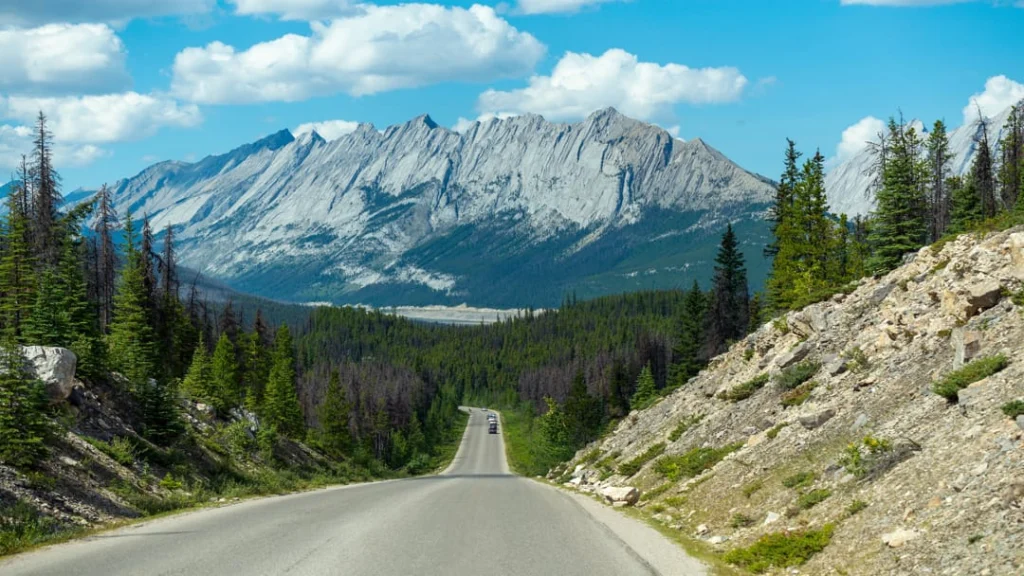 Een lege asfaltweg loopt door een dennenbos richting een indrukwekkende bergketen van de Rocky Mountains in Canada