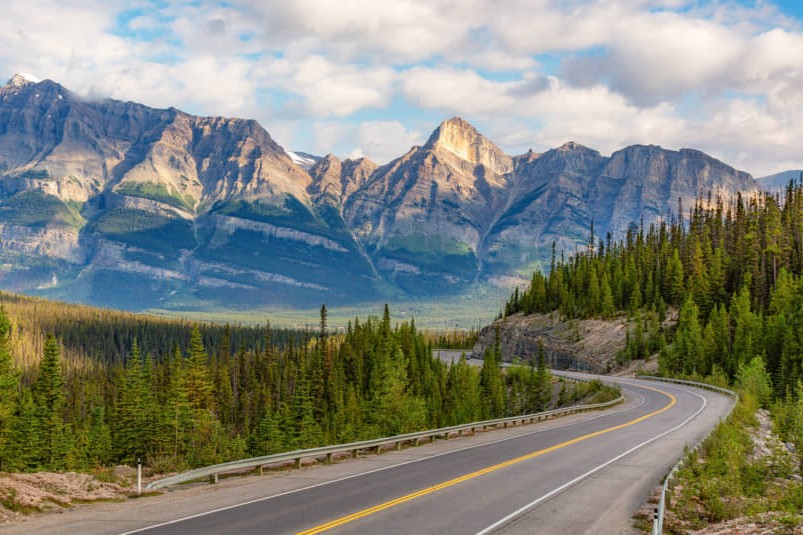 Kronkelende asfaltweg door een dal met naaldbos, met kale rotsachtige bergtoppen op de achtergrond in de Canadese Rockies