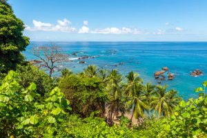 Uitzicht tussen de begroeiing door over een turkooize zee met rotsen in het water, gefotografeerd vanaf een klif bij Caño Island in Costa Rica