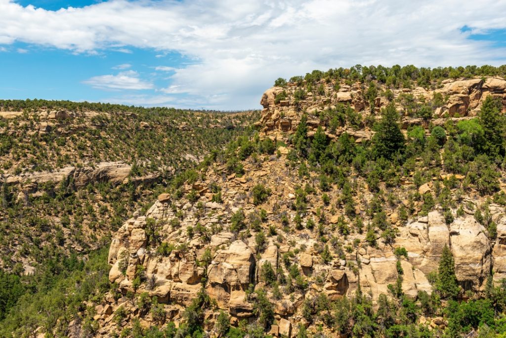 Steile, gelaagde rotswand begroeid met jeneverbessen en dennen, met een diepe canyon op de achtergrond in Utah