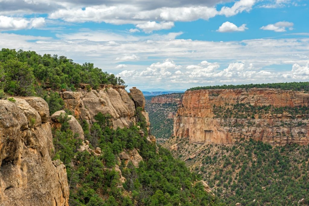 Rotsachtige canyonwanden begroeid met jeneverbessen en dennen onder een blauwe lucht met stapelwolken in Utah