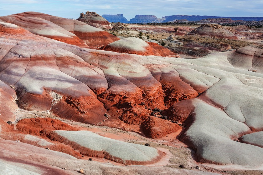 Golvende heuvels met rode en grijswitte lagen vormen een bijzonder landschap in de Bentonite Hills bij Capitol Reef National Park
