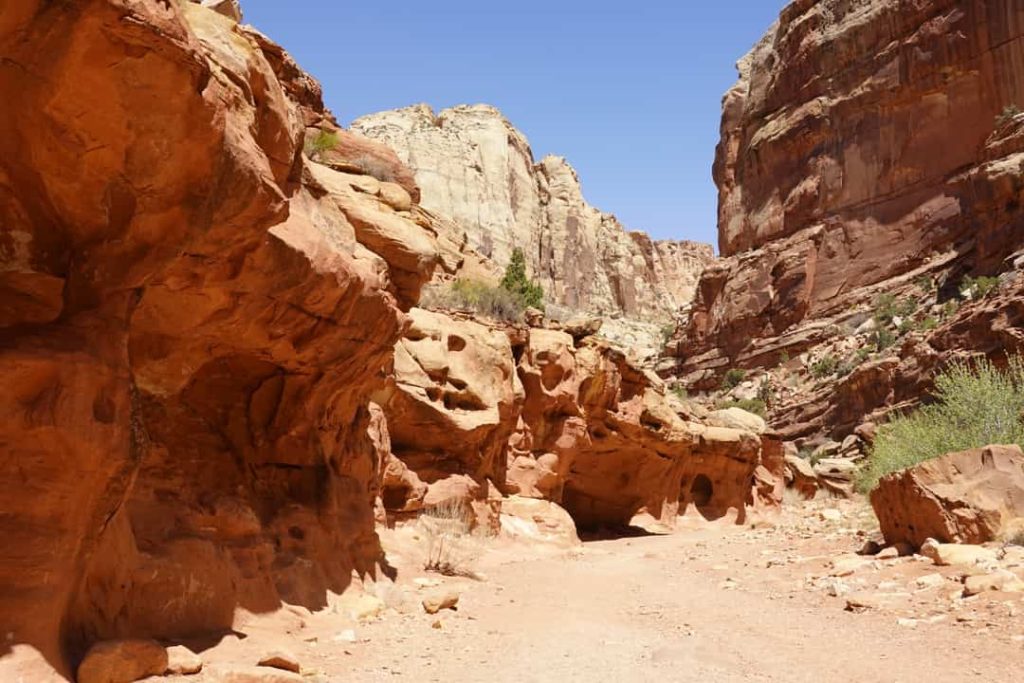 Zanderig wandelpad tussen hoge rode en witte rotswanden in een nauwe kloof in Capitol Reef National Park
