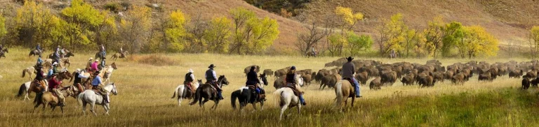 South Dakota