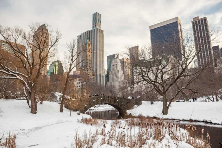 Stenen boogbrug in een besneeuwd Central Park met kale bomen en de skyline van Manhattan op de achtergrond
