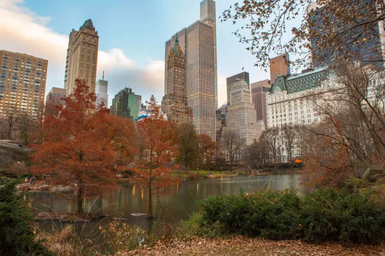 Rood en oranje gekleurde bomen aan een vijver in Central Park met de wolkenkrabbers van Central Park South erachter