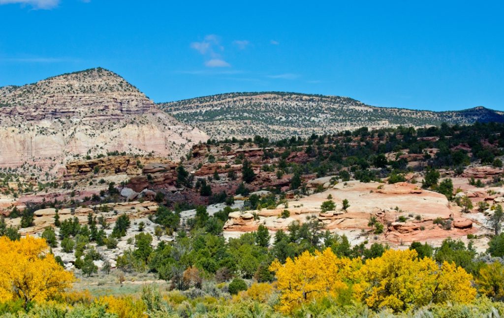 Uitgestrekt canyonlandschap met gelaagde zandstenen rotsformaties, groene dennenbomen en gele bomen op de voorgrond in Colorado