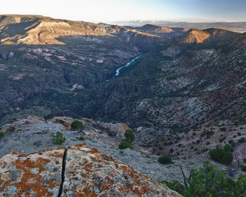 Kronkelende rivier stroomt door een brede canyon met rotsachtige hellingen en struikgewas onder een wijds landschap in Colorado