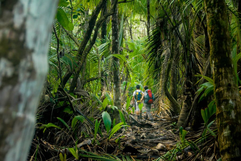 Twee wandelaars met rugzakken lopen over een smal pad tussen dichte jungle begroeiing in Corcovado National Park in Costa Rica