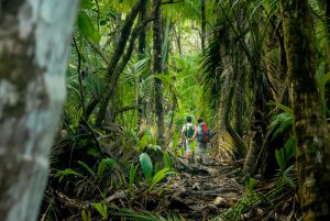 Twee wandelaars met rugzakken lopen over een smal pad tussen dichte jungle begroeiing in Corcovado National Park in Costa Rica