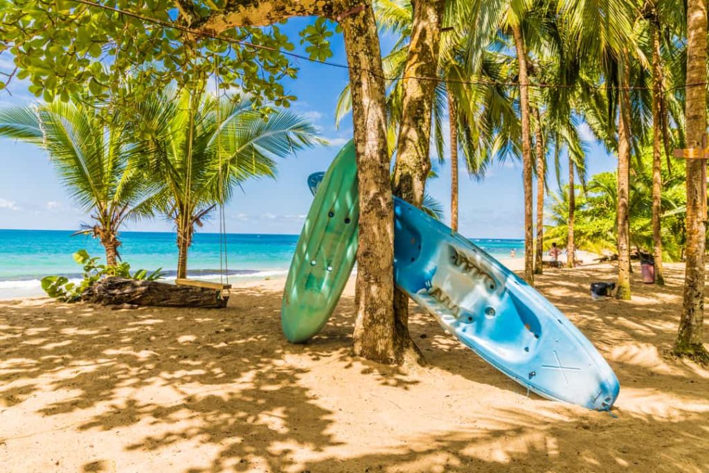 Groene en blauwe kajaks staan tegen een palmboom op een zonnig strand met turquoise zee op de achtergrond