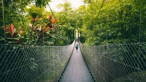 Wandelaar steekt een lange hangbrug over tussen dicht groen regenwoud in Costa Rica