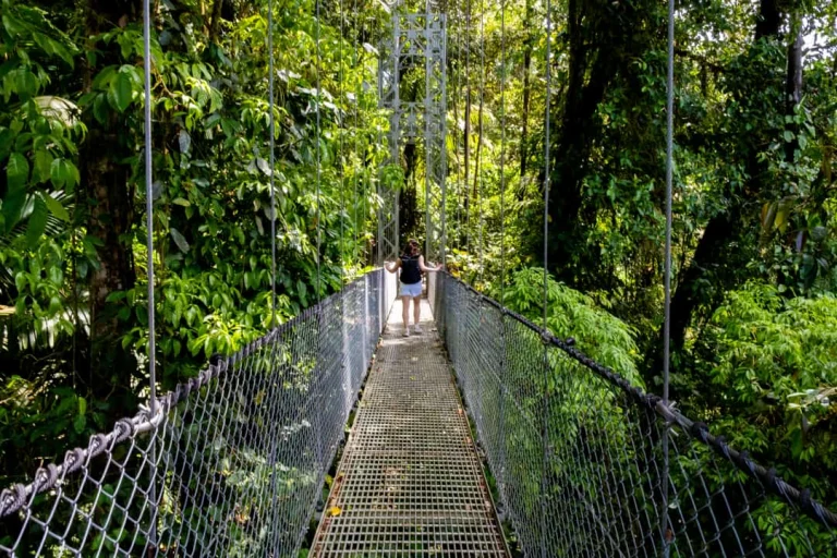 Een vrouw loopt over een hangbrug die tussen de groene boomtoppen door het nevelwoud van Monteverde in Costa Rica voert