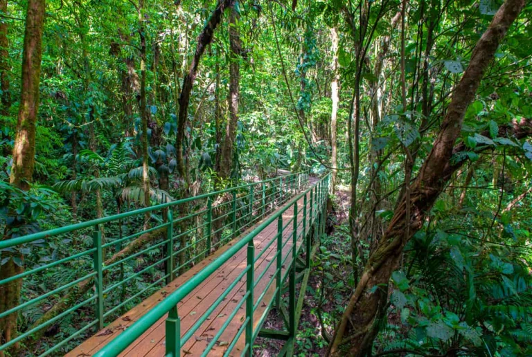 Een groene metalen hangbrug met houten planken voert door dicht tropisch regenwoud bij Arenal in Costa Rica