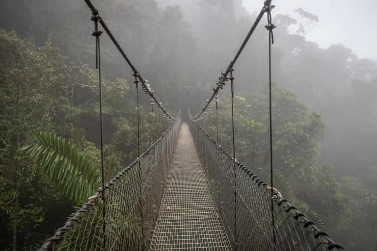 Smalle hangbrug met touwleuningen loopt door dicht, mistig regenwoud bij Arenal in Costa Rica