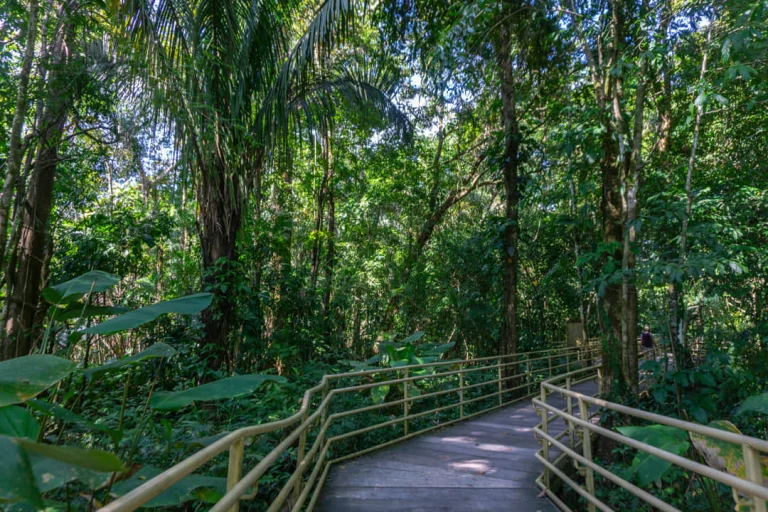 Een houten wandelpad met leuningen loopt door dicht, groen regenwoud in Manuel Antonio National Park in Costa Rica
