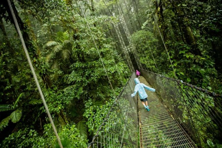 Twee kinderen in regenjas lopen over een hangende brug tussen de weelderige begroeiing van het Costa Ricaanse regenwoud tijdens de Arenal Hanging Bridges tour