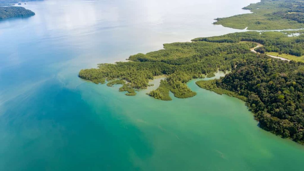Luchtfoto van een uitgestrekte baai met kleine mangrove-eilandjes en een kustlijn vol tropisch groen