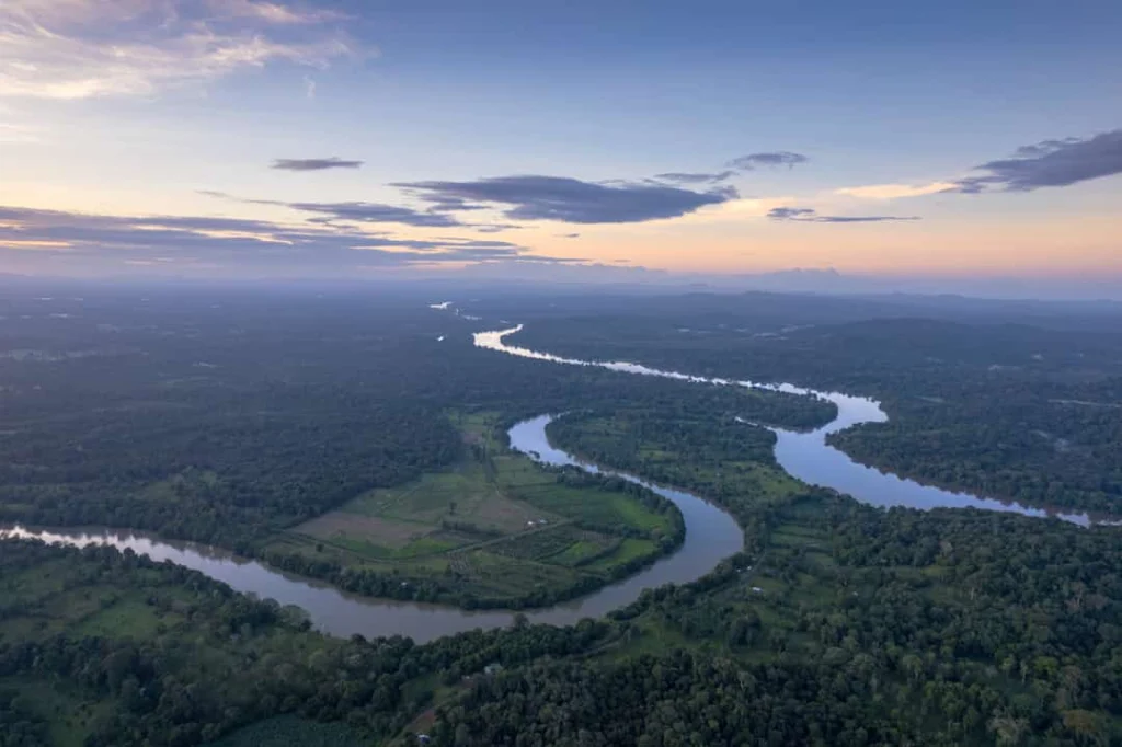 Luchtfoto van een kronkelende rivier die door dicht groen regenwoud stroomt onder een lucht met zachte avondkleuren in Costa Rica