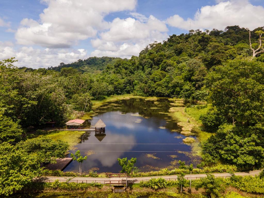 Luchtfoto van een rustige lagune omringd door regenwoud, met een houten steiger en een hut met rieten dak aan de oever in Costa Rica
