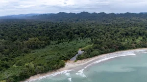 Luchtfoto van dicht tropisch regenwoud dat overgaat in een zandstrand met turquoise zee bij Cahuita in Costa Rica