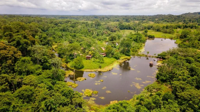 Luchtfoto van dicht tropisch regenwoud rondom een rustige lagune met een steiger bij Boca Tapada in Costa Rica