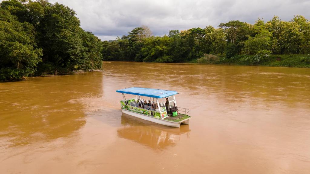 Luchtfoto van een overdekte excursieboot met passagiers op een bruine rivier tussen dicht regenwoud in Costa Rica