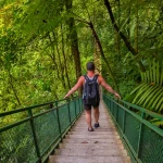 Man met rugzak loopt over een groene metalen hangbrug omgeven door weelderig tropisch regenwoud bij Arenal in Costa Rica
