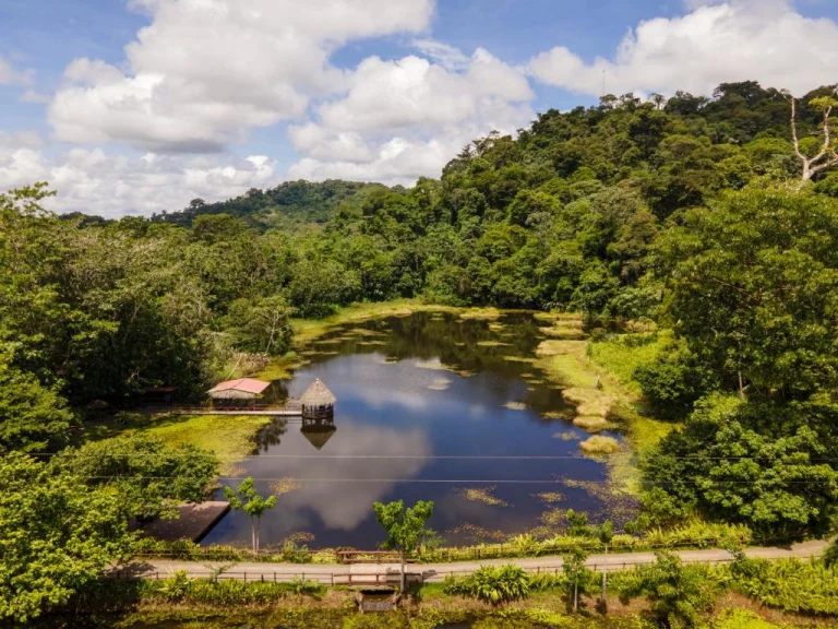 Luchtfoto van een stil meer met een houten steiger en palapa, omringd door groen regenwoud bij Boca Tapada in Costa Rica