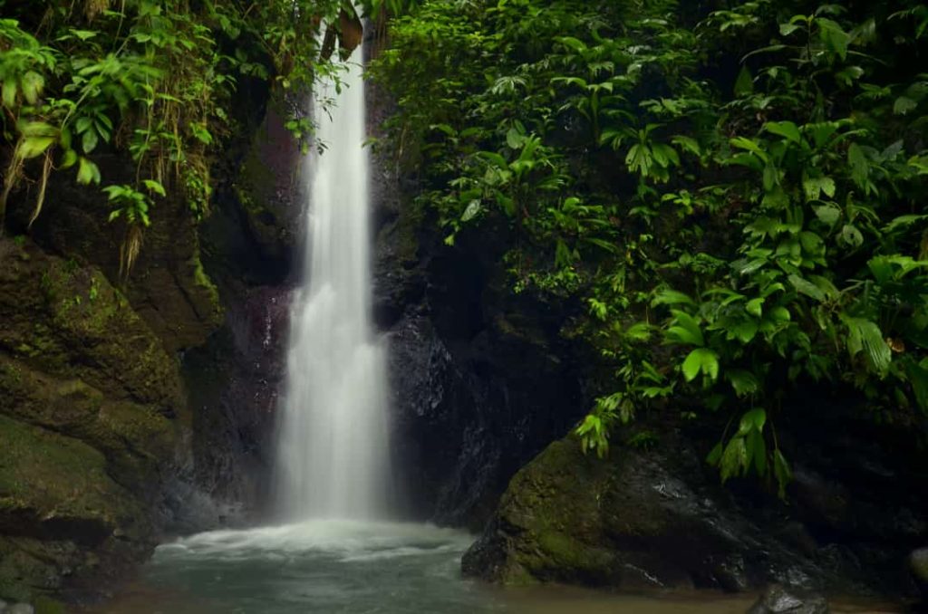 Een smalle waterval valt tussen rotsen en weelderig groen naar een poel in het regenwoud bij Pacuare Lodge