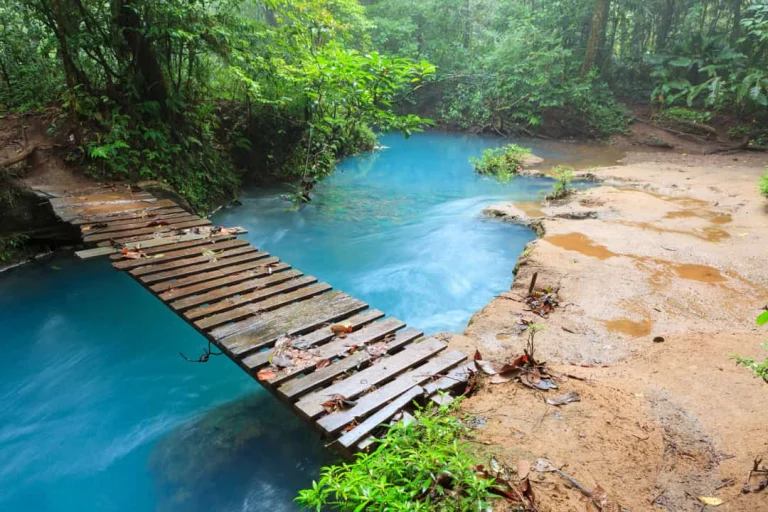 Een smalle houten brug leidt over het turkooisblauwe water van de Rio Celeste, omringd door weelderig regenwoud in Costa Rica