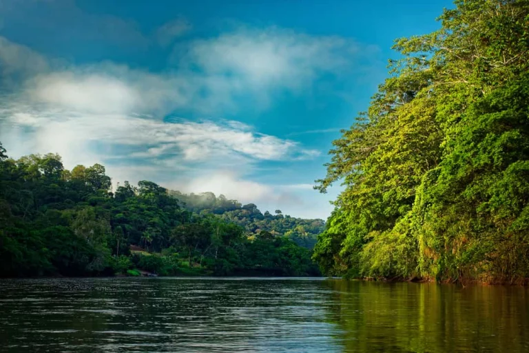 Een brede rivier omringd door dicht groen regenwoud onder een blauwe lucht met wolken in Costa Rica