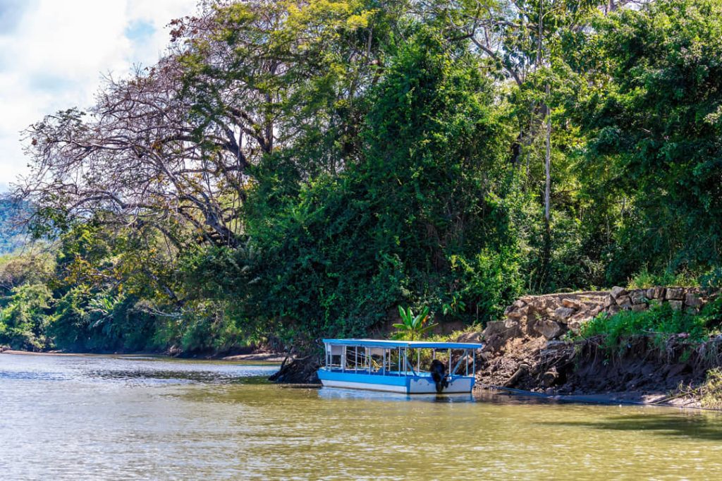 Een blauwe open toeristenboot vaart over rustig bruin rivierwater langs dichte jungle in Costa Rica