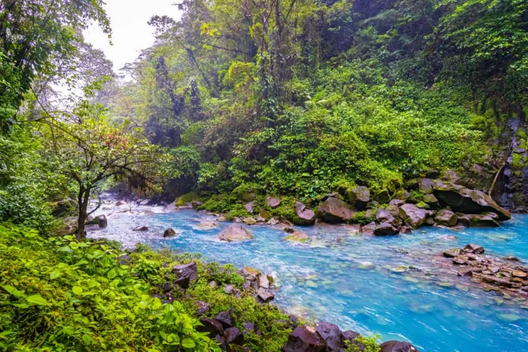 Felblauwe rivier de Rio Celeste stroomt tussen rotsblokken door dichte groene jungle in het Tenorio National Park in Costa Rica
