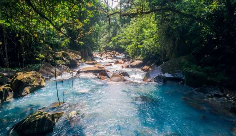 Helderblauw water van de Rio Celeste stroomt tussen rotsen door dicht tropisch regenwoud in het Tenorio National Park in Costa Rica