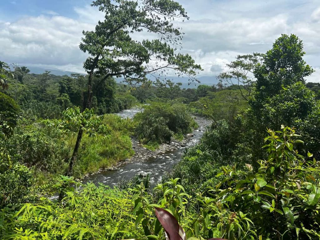 Uitzicht vanaf een heuvel over een kronkelende rivier tussen dicht regenwoud in Costa Rica