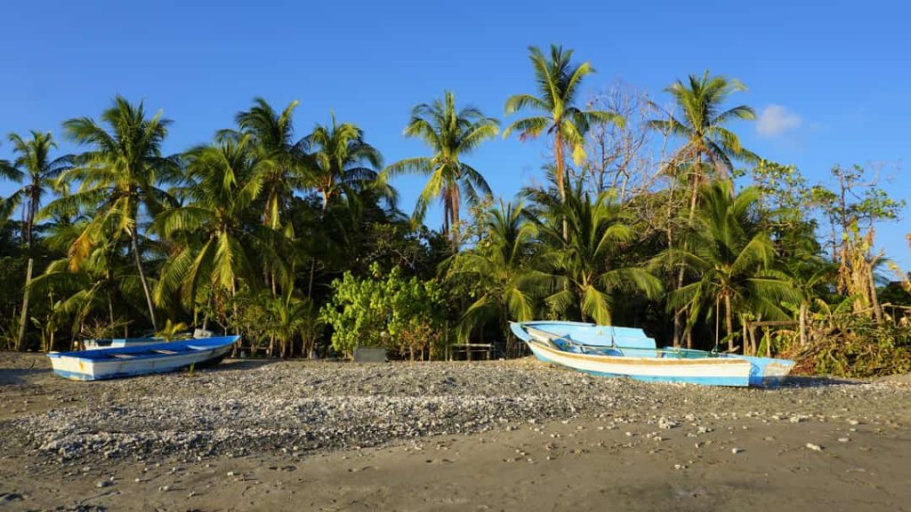 Twee kleine houten vissersbootjes liggen op een kiezelstrand tussen kokospalmen onder een strakblauwe hemel in Costa Rica