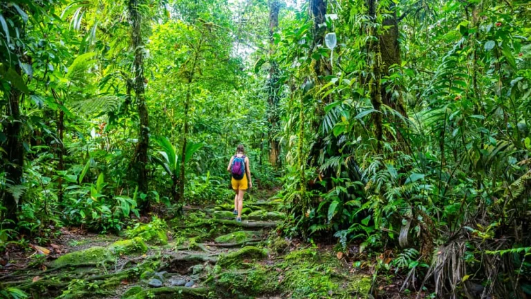 Een wandelaar met rugzak loopt over een bemost pad tussen weelderige groene begroeiing in een tropisch regenwoud in Costa Rica