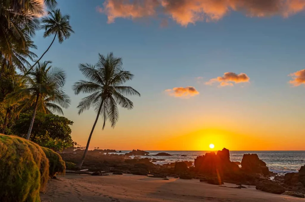 Rotsachtig strand met palmbomen op de voorgrond en een oranje zonsondergang boven zee in Costa Rica