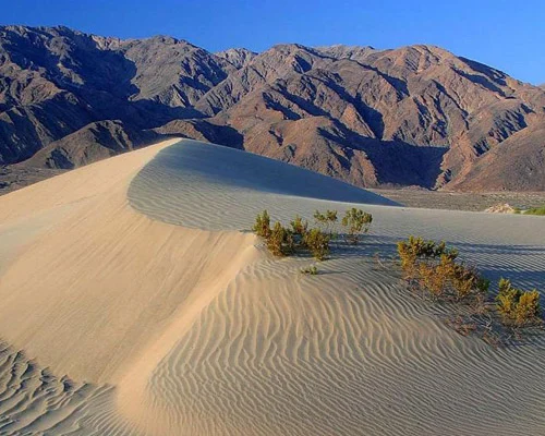 Close-up van een gerimpelde zandduin met kleine struiken op de kam en bergen op de achtergrond in Death Valley National Park