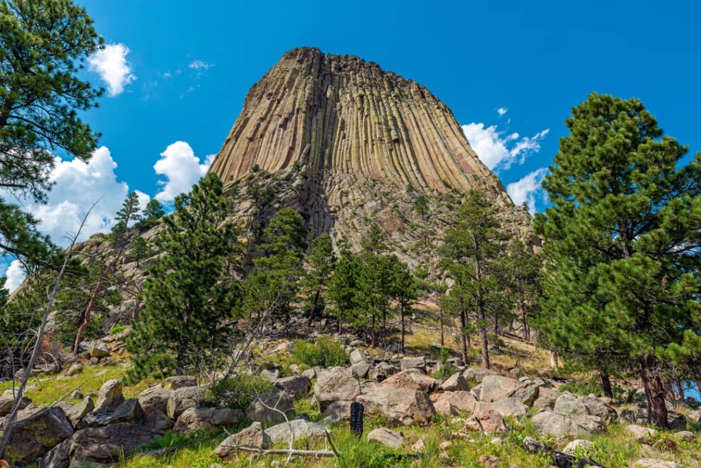 Verticale groeven in de rotswand van Devils Tower gezien vanaf beneden, omringd door dennenbomen en verspreide rotsblokken