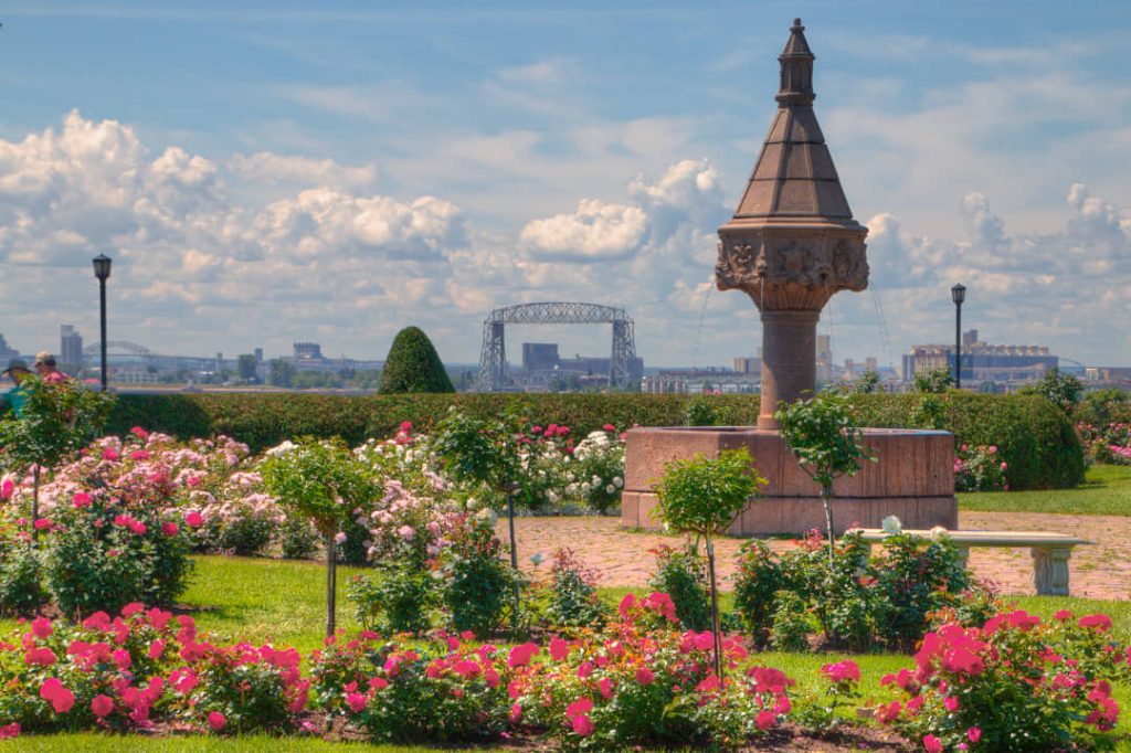 Bloeiende rozentuin met een stenen fontein in Duluth, met de skyline en de Aerial Lift Bridge op de achtergrond