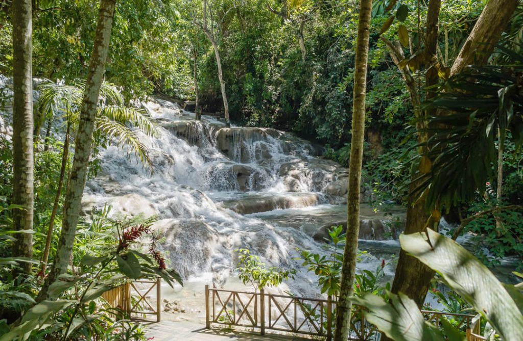 Wit schuimend water stroomt over brede kalkstenen trappen tussen groene jungle bij Dunn's River Falls in Jamaica