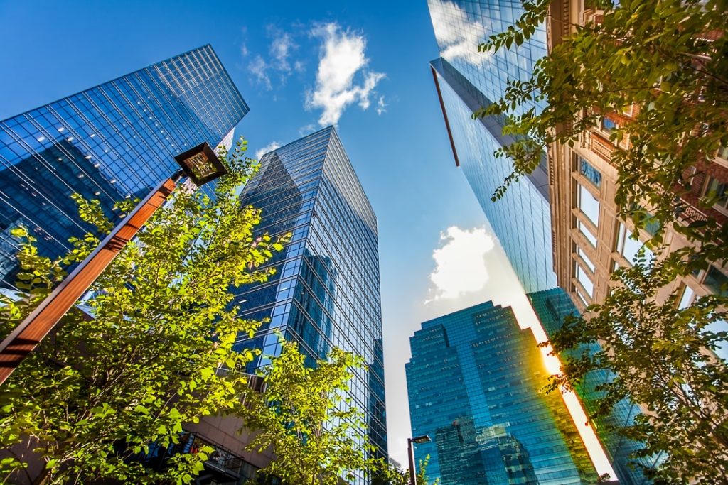 Glazen wolkenkrabbers in het centrum van Edmonton gezien van onderaf tussen groene boombladeren en een lantaarnpaal