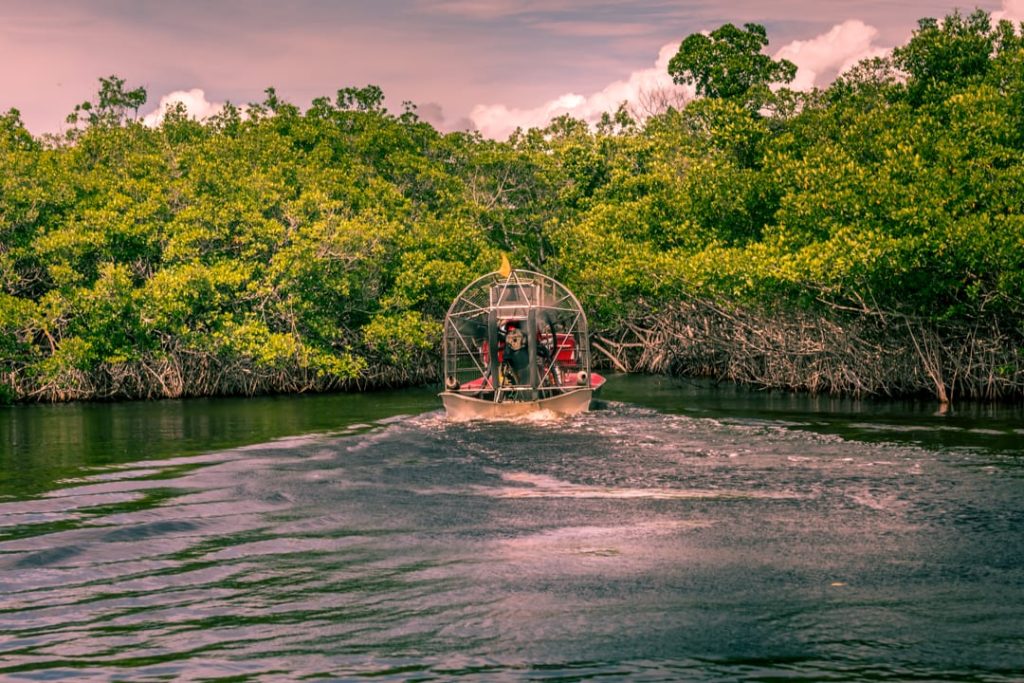 Airboat met passagiers vaart over donker water tussen dichte mangrovebegroeiing in de Everglades